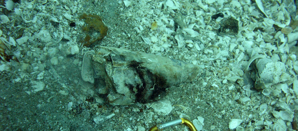 นักโบราณคดีใต้น้ำ (Underwater Archaeologist)