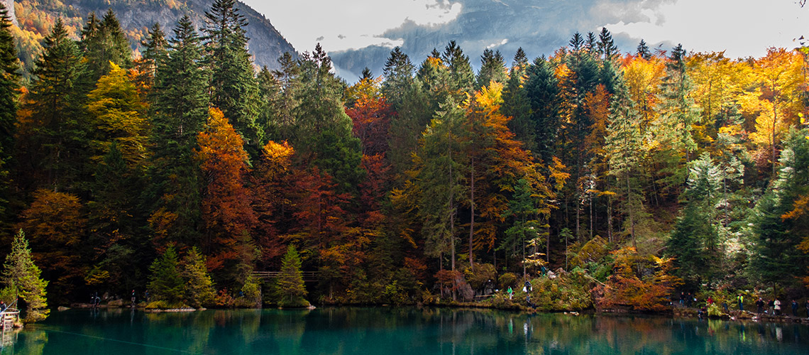Blausee : ทะเลสาบสีฟ้าแสนสวยกลางป่าของสวิตเซอร์แลนด์