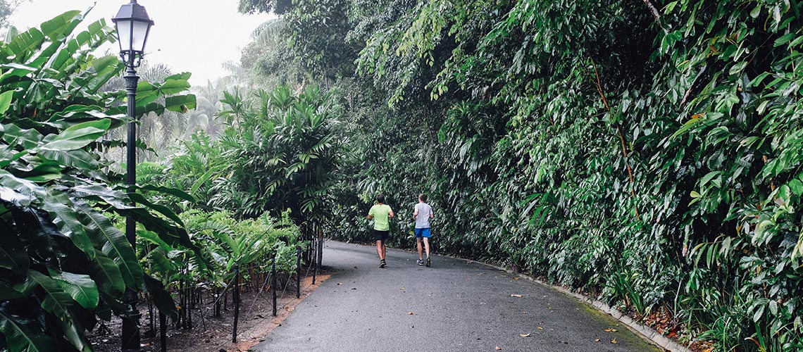 วิ่งในสวนพฤกษศาสตร์ที่เป็นมรดกโลกแห่งแรกในสิงคโปร์