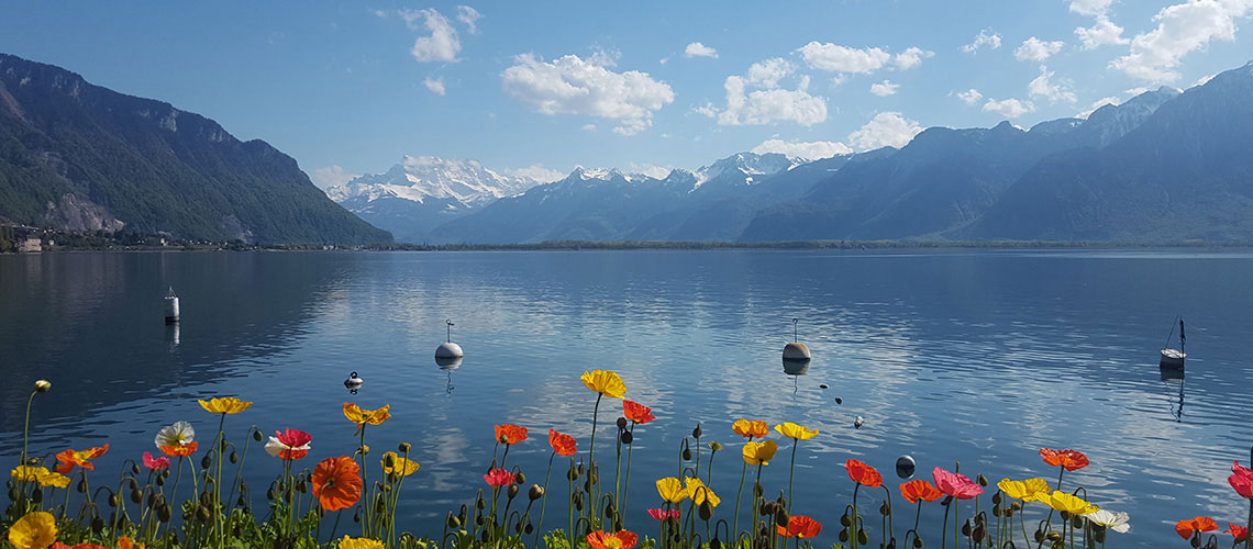 วิ่งเลียบทะเลสาบเจนีวาที่สวิตเซอร์แลนด์