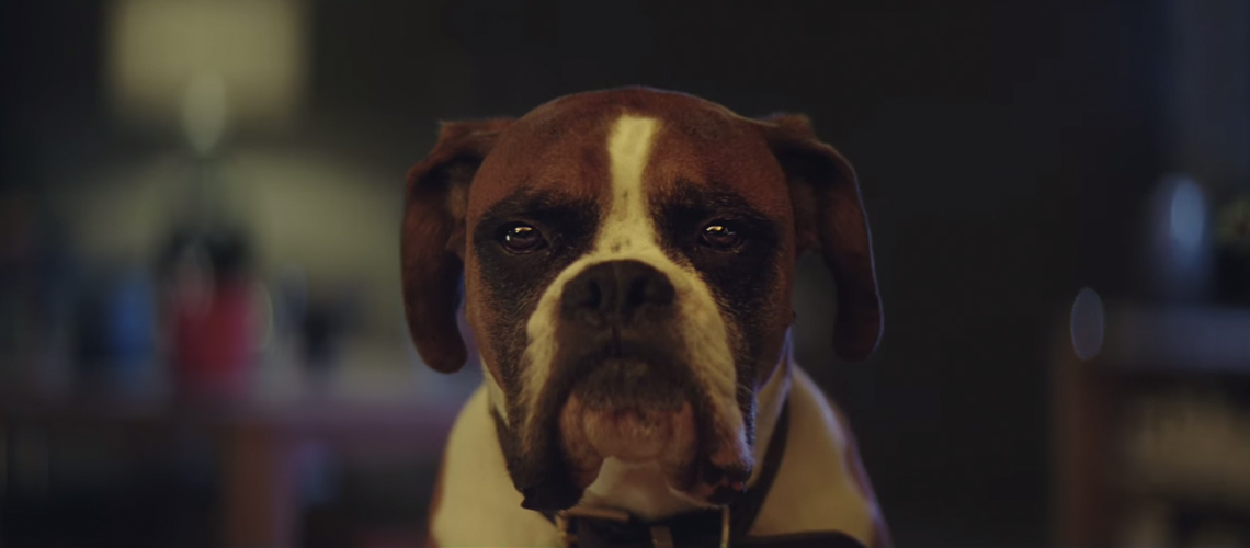 Ads of the Dog : ชวนดูโฆษณาน้องหมารับปีจอ 2018