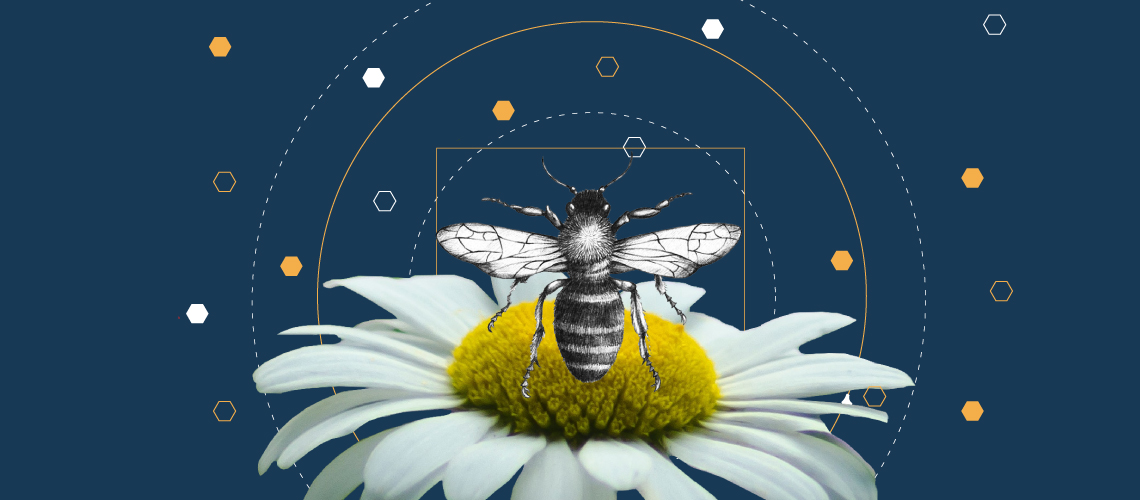 ​จะเกิดอะไรขึ้นถ้าโลกใบนี้ไม่มีผึ้ง?