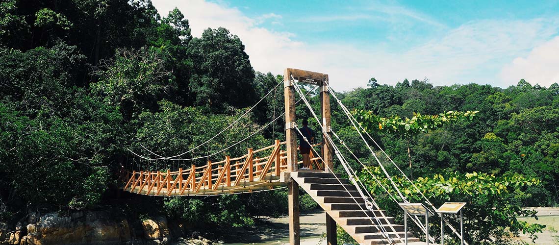 Teluk Kampi : เส้นทางเดินป่าลัดเลาะริมทะเลที่ปีนัง