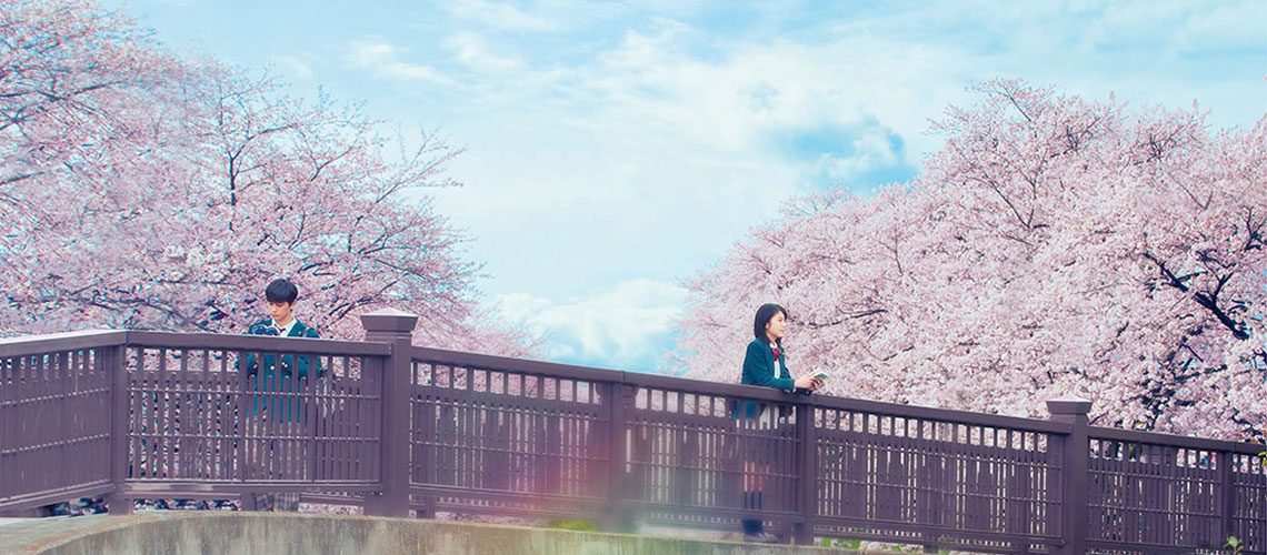 Kimi no Suizo wo Tabetai : หนังสะท้อนปัญหาและภาพฝันที่ไม่มีวันเป็นจริงของสังคมญี่ปุ่น