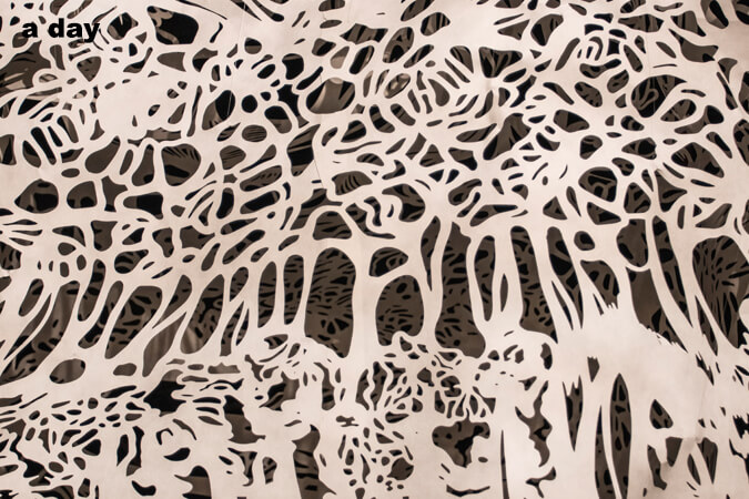 Nahoko Kojima Papercut Artist นาโฮโกะ โคจิมะ ศิลปินเปเปอร์คัต