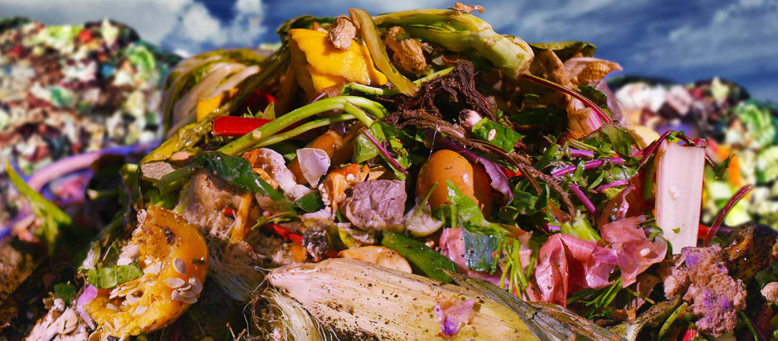 Wasted! The Story of Food Waste สารคดีที่ทำให้เราเลิกทิ้งอาหารโดยเปล่าประโยชน์
