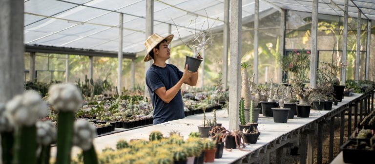 2Bees Garden : สวนเพาะเลี้ยงพืชอวบน้ำของพระเอกภาพยนตร์มหา’ลัยเหมืองแร่