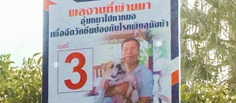 เมดอินไทยแลนด์ : archive : กุมภาพันธ์ 2562