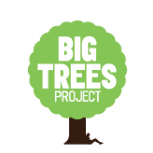 BIG Trees Project