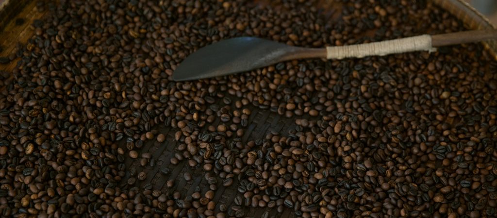 ไฟน์โรบัสต้า : กาแฟสายรองจากแดนใต้ ที่กำลังหายใจรดต้นคอกาแฟพิเศษไทย