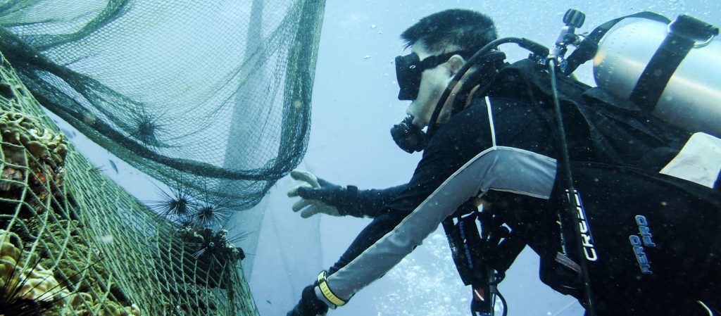 Save The Planet Associate : กลุ่มอาสาสมัครที่ขอพิทักษ์ผืนน้ำด้วยการดำน้ำเก็บขยะและตัดอวนใต้ทะเล