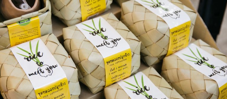 ชุดทดลองปลูกข้าว สวนจำลอง และถุงพลาสติกย่อยสลายได้ – Think Positive ประจำเดือนธันวาคม 2562