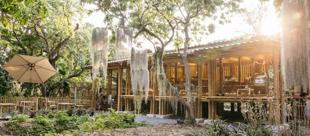 พักใจในธรรมชาติกลางกรุงที่ Natura Garden Cafe คาเฟ่ในสวนลิ้นจี่ร้อยปีริมคลองบางขุนเทียน
