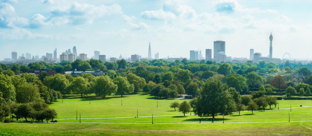 Rewild My City: เมื่อเทรนด์ปี 2020 ไม่ใช่การแยก 'ป่า' ออกจาก 'เมือง'