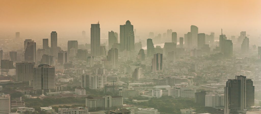 เมดอินไทยแลนด์ : archives : มกราคม 2563