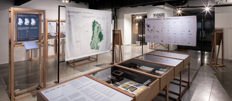 TIGER CITY นิทรรศการ data visualisation ที่บอกว่าแม้แต่คนเมืองก็อนุรักษ์ห้วยขาแข้งได้