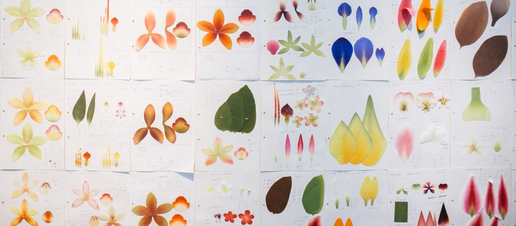 Permaflora แบรนด์ดอกไม้ประดิษฐ์ที่พ่อปลูกให้สมจริงและลูกประดับให้เป็นงานศิลปะ