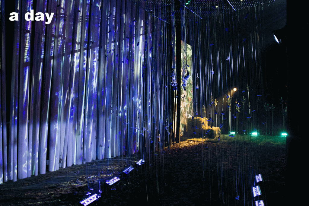 The Forest Exhibition