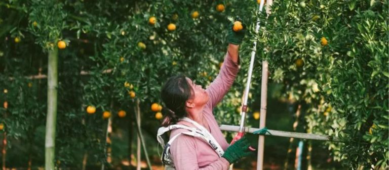 ตลาดเกษตรกรออนไลน์ กลุ่มออกแบบประชาธิปไตย – Think Positive ประจำเดือนกันยายน 2563
