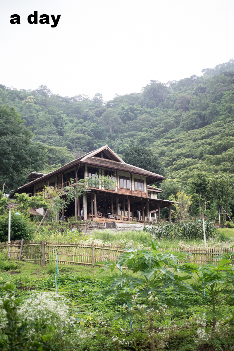 พักใจใน Mori Natural Farm บ้านเล็กในป่าใหญ่สไตล์ญี่ปุ่น แต่สร้างจากไม้
