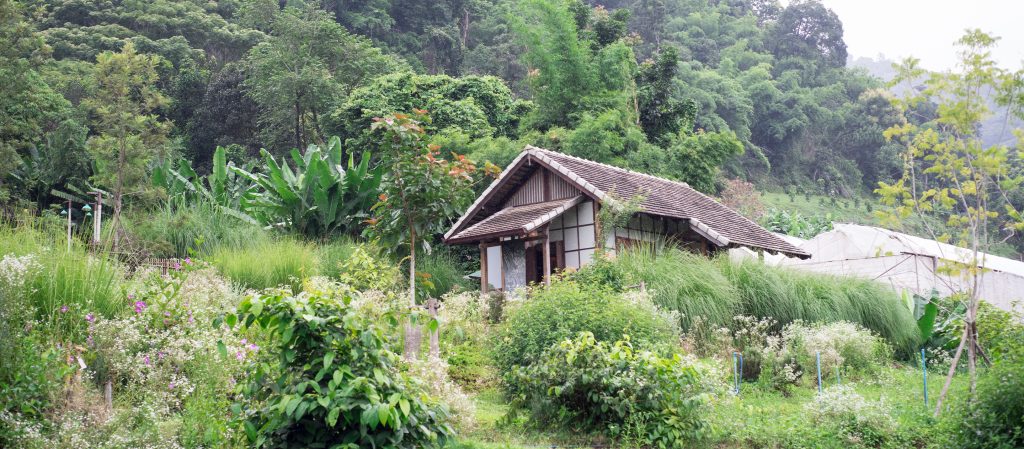 พักใจใน Mori Natural Farm บ้านเล็กในป่าใหญ่สไตล์ญี่ปุ่น แต่สร้างจากไม้ล้านนาแต๊ๆ เจ้า