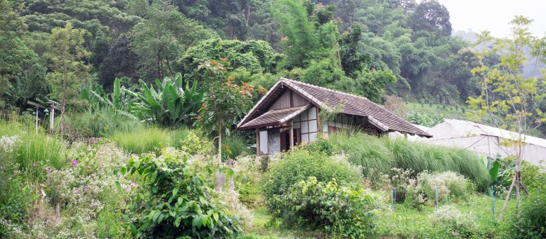 พักใจใน Mori Natural Farm บ้านเล็กในป่าใหญ่สไตล์ญี่ปุ่น แต่สร้างจากไม้ล้านนาแต๊ๆ เจ้า