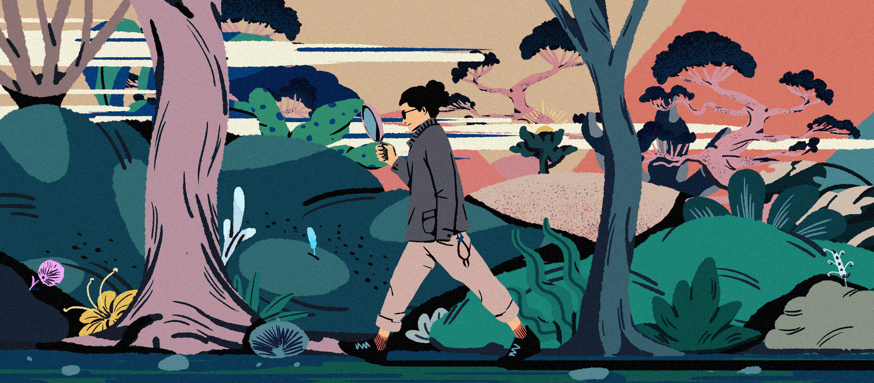 คุยกับ plant hunter หนุ่มญี่ปุ่นผู้ออกผจญภัยไปตามหาต้นไม้หายากจากทั่วโลก