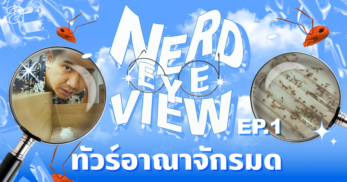 ขุดลึกเรื่องมดกับเพจ ‘คนเลี้ยงมด’ | Nerd Eye View EP.1