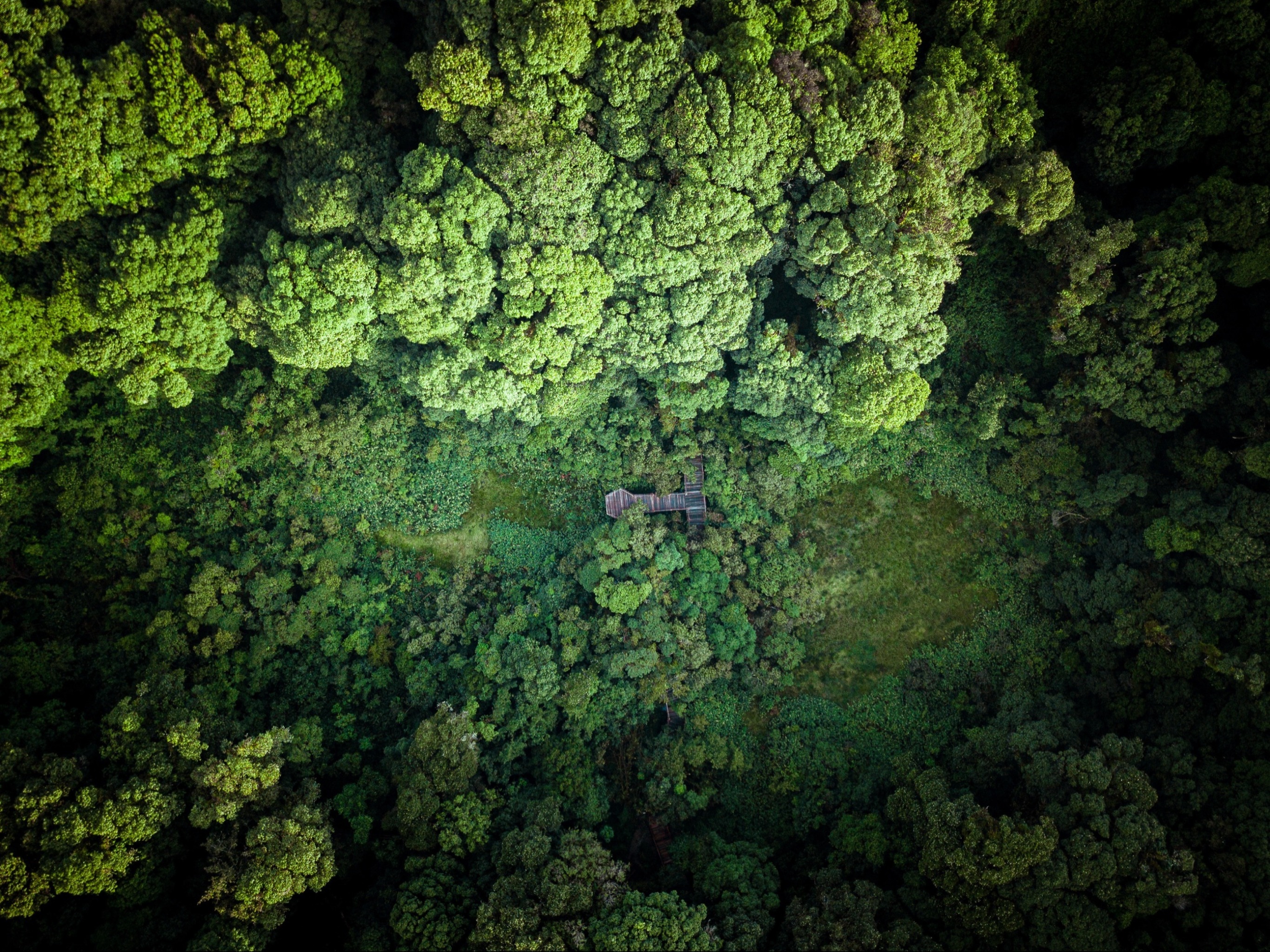 ชวนไปเดินศึกษาความหลากหลายของชีวิตในผืนป่าดึกดำบรรพ์ เส้นทางศึกษาธรรมชาติอ่างกา ดอยอินทนนท์