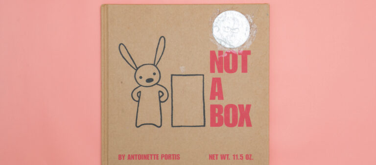 NOT A BOX นิทานที่เตือนให้เราไม่ลืมจินตนาการในตัวเอง