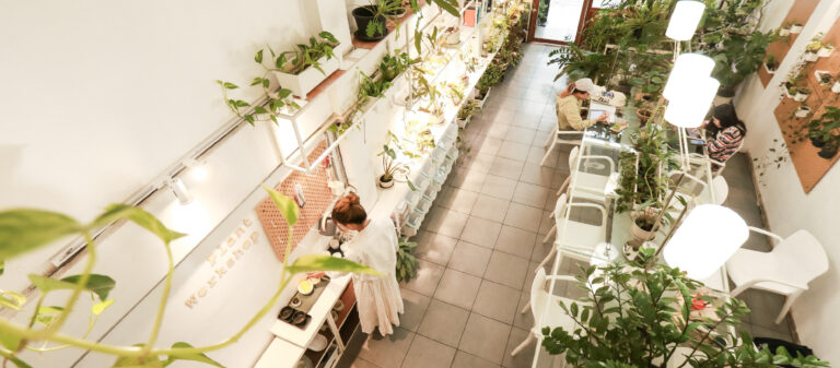 Plant Workshop Cafe โรงปฏิบัติการสวนในตึกเพื่อคนเมืองที่รักการอยู่ร่วมกับสีเขียว