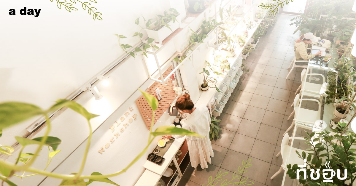 Plant Workshop Cafe โรงปฏิบัติการสวนในตึกเพื่อคนเมืองที่รักการอยู่ร่วมกับสีเขียว